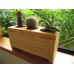 Cactus Planter